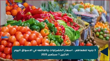 3 جنيه للطماطم.. أسعار الخضراوات والفاكهة في الأسواق اليوم الاثنين 1 سبتمبر 2025